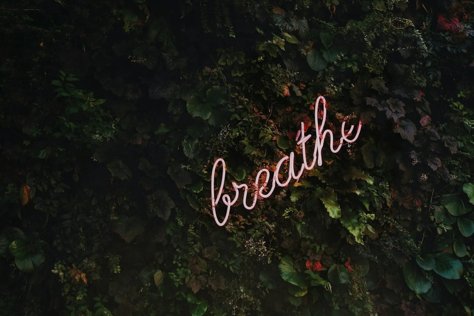 A neon “breathe” sign set against dark foliage